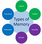 Image result for Semantic Memory Examples