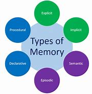 Image result for What Is Human Memory