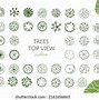 Image result for Top View Tree Brushes Photoshop