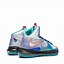 Image result for LeBron 10 Shoes