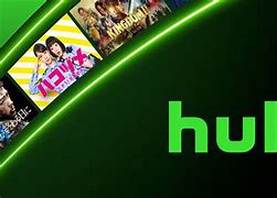 Image result for Hulu Forgot Password