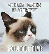 Image result for Grumpy Cat Meme Get Back to Work