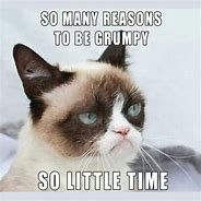 Image result for Hey Girl Grumpy Cat Meme
