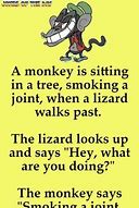 Image result for Funny Life Jokes