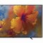 Image result for largest tv available