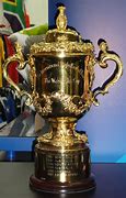 Image result for rugby world cup trophy