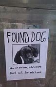 Image result for Lost Dog Look Memes