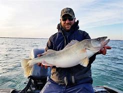 Image result for Lake Erie Walleye Fishing