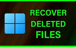 Image result for How Do You Recover Deleted Files Windows 1.0