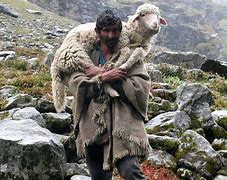 Image result for Biblical Shepherd and Sheep