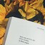 Image result for Aesthetic Book Design