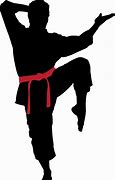 Image result for Karate Logo