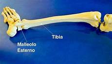 interno caviglia dolore alla caviglia esterno o interno le cause pi 249 frequenti interno caviglia dolore alla caviglia esterno o interno le cause pi 249 frequenti