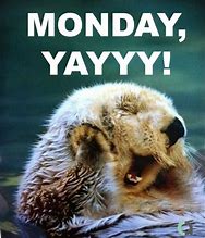 Image result for Cute Animal Monday Memes