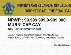 Image result for Cara Cek Pajak Npwp