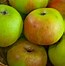 Image result for Heirloom Apple Trees