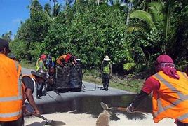 Image result for Tonga Travel Guide