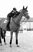 Image result for Tiffany Thoroughbred Horse