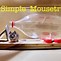 Image result for Homemade Mouse Traps Water