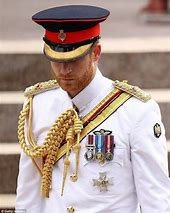 Image result for Prince Harry with Blues and Royals Uniform at Jubilee
