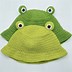 Image result for Cute Frog Hat