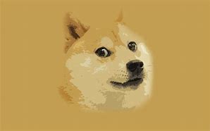 Image result for Doge HD Wallpaper