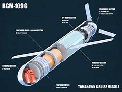 Image result for Tomahawk Missile Tail