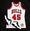 Image result for Flair Micheal Jordan Jersey 45