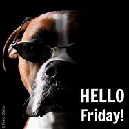 Image result for Happy Friday Boxer Dog