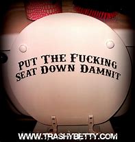 Image result for Toilet Seat Down Meme