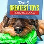 Image result for Best Small Dog Toys