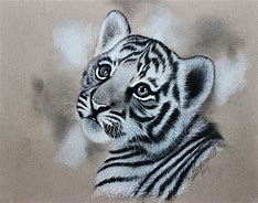 Image result for Baby Tiger Drawing Black and White