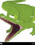 Image result for Alligator Illustration