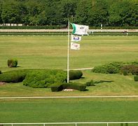 Image result for ruffian racehorse grave