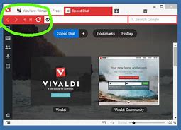 Image result for Vivaldi Browser Home Button