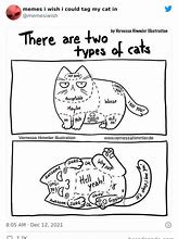 Image result for Small Cat Meme