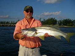 Image result for Snook Lures