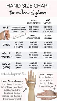 Image result for 8 Inch Hands