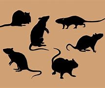 Image result for Halloween Rat Silhouette