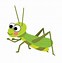 Image result for Cricket Bug Clip Art Black and White
