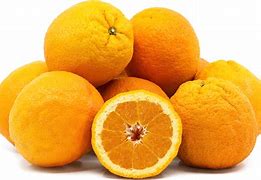 Image result for Valencia Orange of Morocco