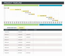 Image result for Microsoft Project Timeline
