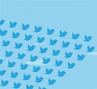 Image result for New Twitter Videos