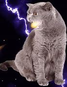 Image result for Cat Breathing Fire