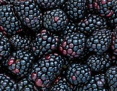 Image result for BlackBerry Pictures