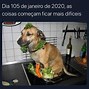 Image result for Memes Engracados