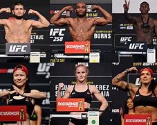 Image result for Weight Class UFC