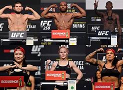 Image result for Top 10 UFC Fighters by Weight Class