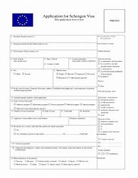 Image result for Poland Work Visa Application Form PDF