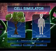 Image result for Cell Evolution Simulator